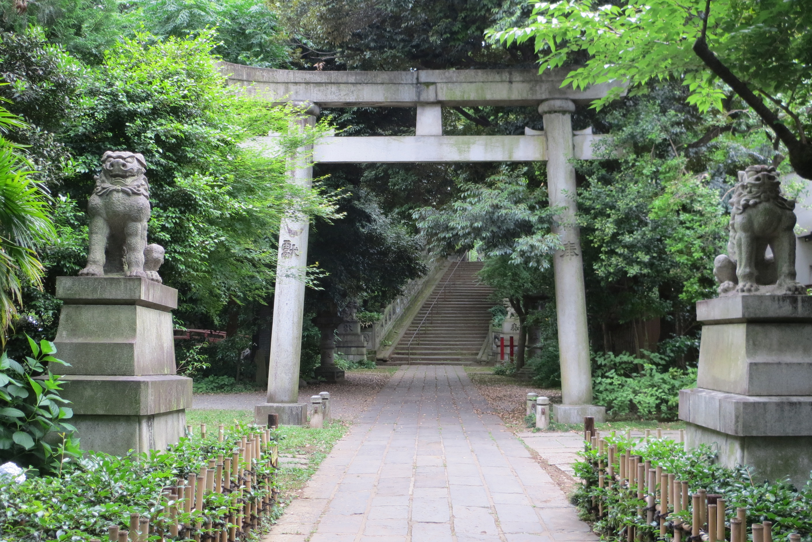 赤坂氷川神社には狛犬がいっぱい ぶらぶら神社